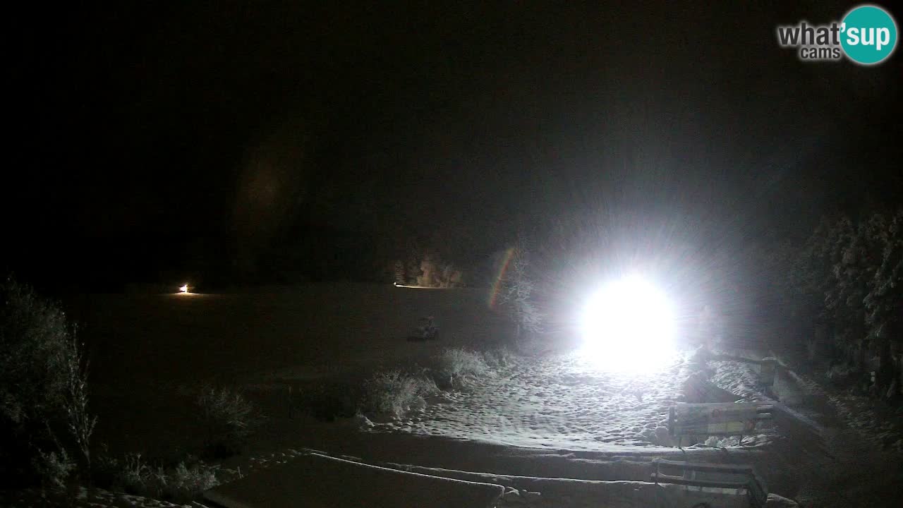 Langlaufarena Pirkdorf webcam sci di fondo – Feistritz ob Bleiburg