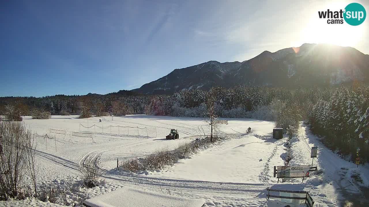 Langlaufarena Pirkdorf webcam sci di fondo – Feistritz ob Bleiburg