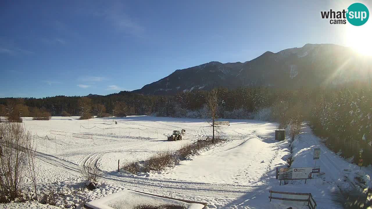 Webcam Langlaufarena Pirkdorf – Feistritz ob Bleiburg