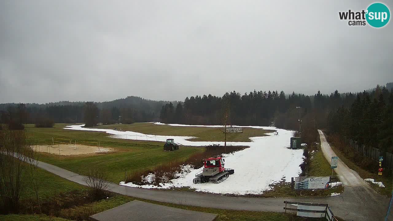 Webcam Langlaufarena Pirkdorf – Feistritz ob Bleiburg