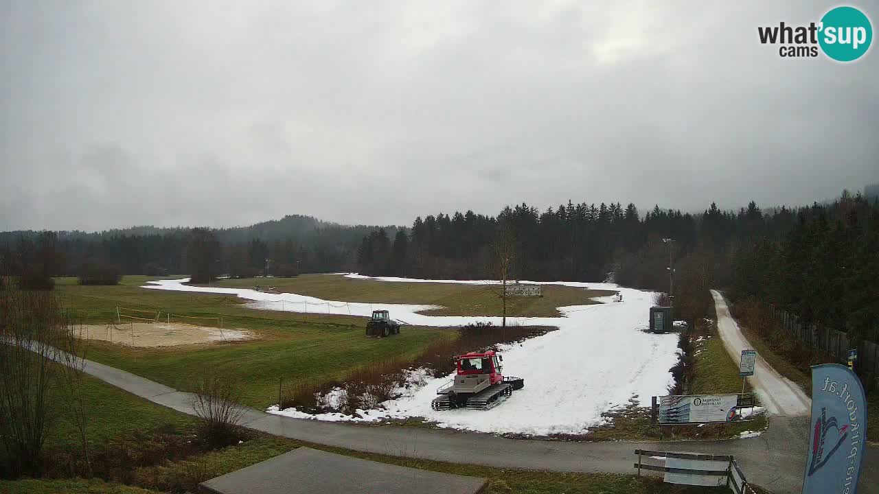 Webcam Langlaufarena Pirkdorf – Feistritz ob Bleiburg