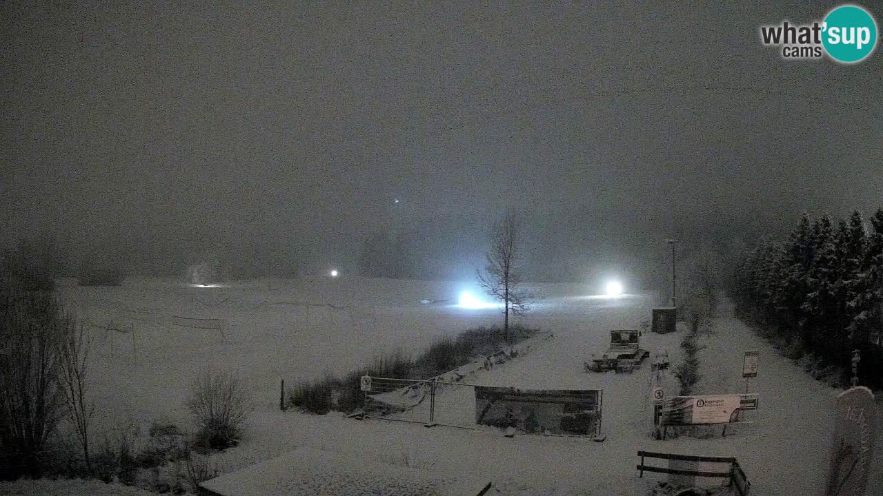 Webcam Arène de Ski de Fond Pirkdorf – Feistritz ob Bleiburg