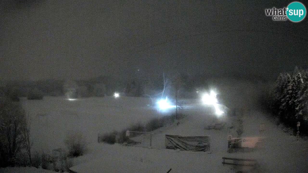 Webcam Arène de Ski de Fond Pirkdorf – Feistritz ob Bleiburg