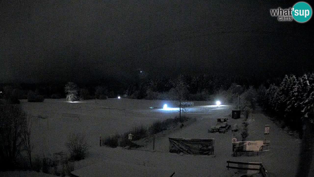 Webcam Arène de Ski de Fond Pirkdorf – Feistritz ob Bleiburg