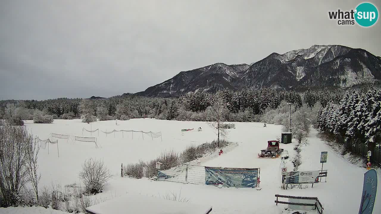 Webcam Arène de Ski de Fond Pirkdorf – Feistritz ob Bleiburg