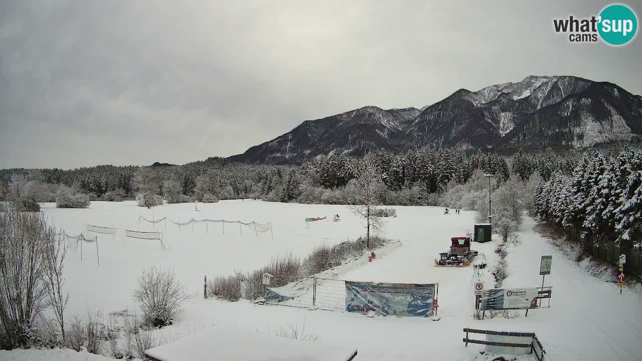 Webcam Arène de Ski de Fond Pirkdorf – Feistritz ob Bleiburg