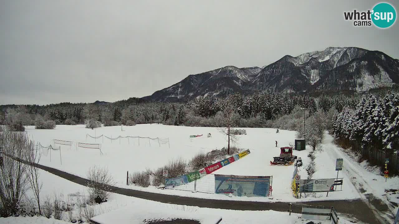 Webcam Arène de Ski de Fond Pirkdorf – Feistritz ob Bleiburg