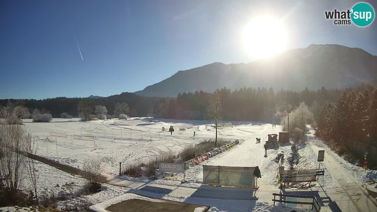 Langlaufarena Pirkdorf webcam sci di fondo – Feistritz ob Bleiburg