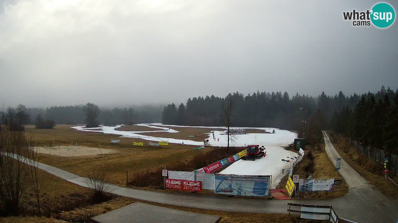 Langlaufarena Pirkdorf webcam sci di fondo – Feistritz ob Bleiburg