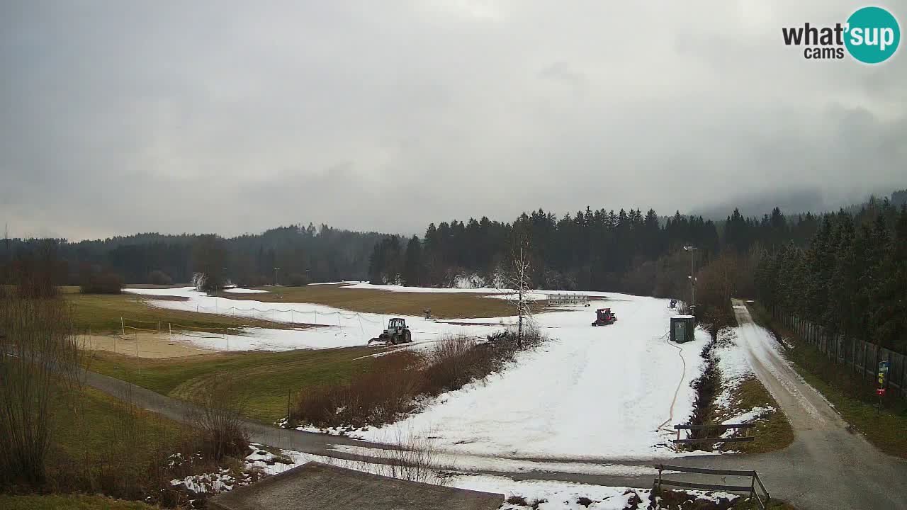 Webcam Langlaufarena Pirkdorf – Feistritz ob Bleiburg