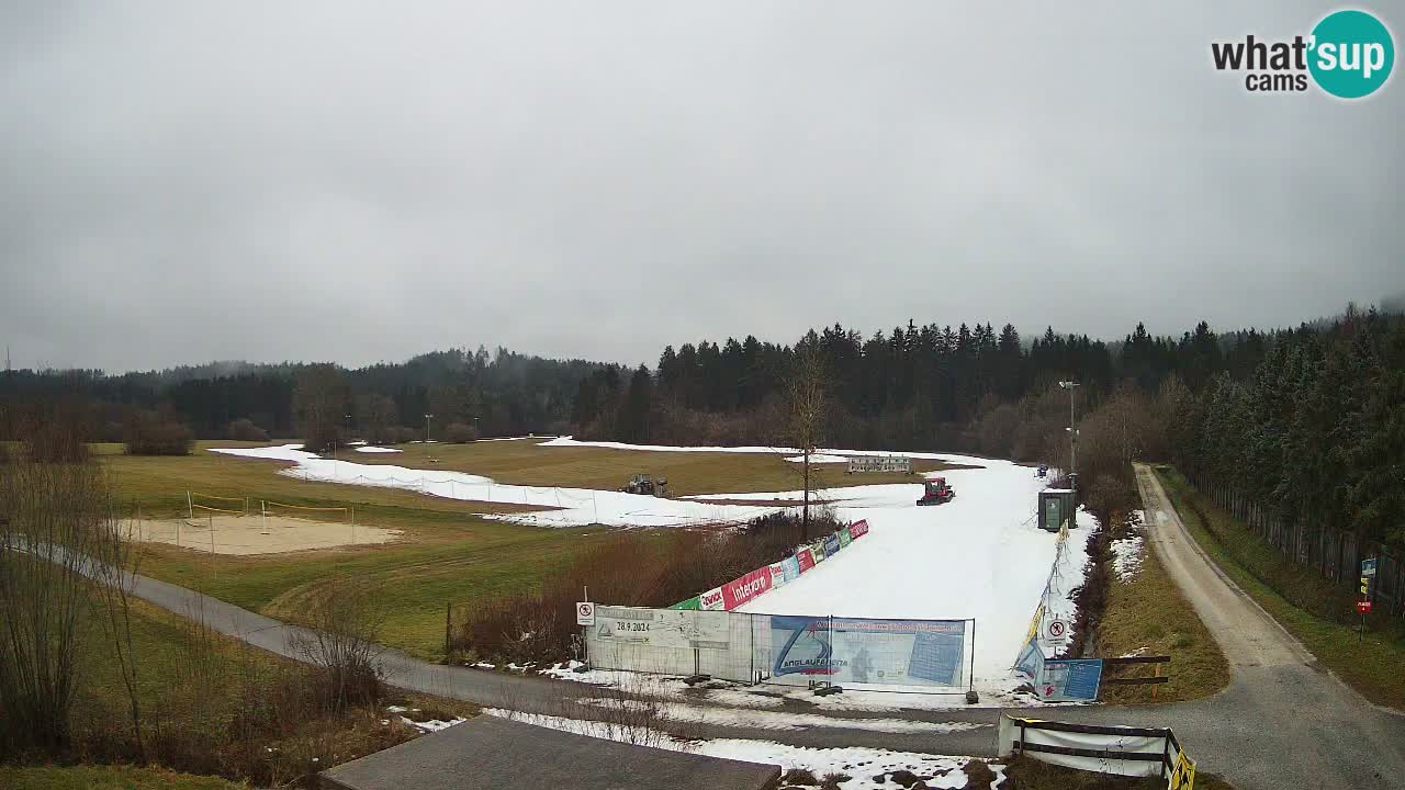Webcam Arène de Ski de Fond Pirkdorf – Feistritz ob Bleiburg