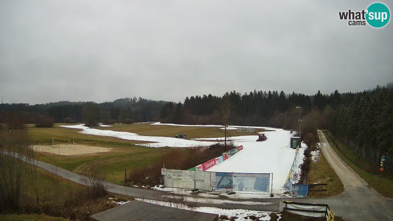 Langlaufarena Pirkdorf webcam sci di fondo – Feistritz ob Bleiburg