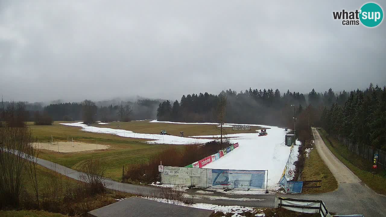 Langlaufarena Pirkdorf webcam sci di fondo – Feistritz ob Bleiburg