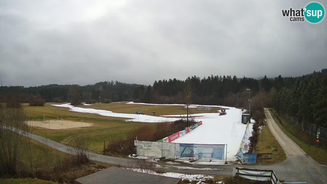 Langlaufarena Pirkdorf webcam sci di fondo – Feistritz ob Bleiburg