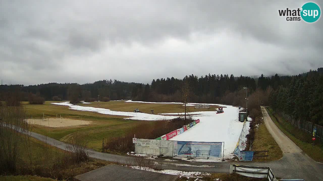 Langlaufarena Pirkdorf webcam sci di fondo – Feistritz ob Bleiburg