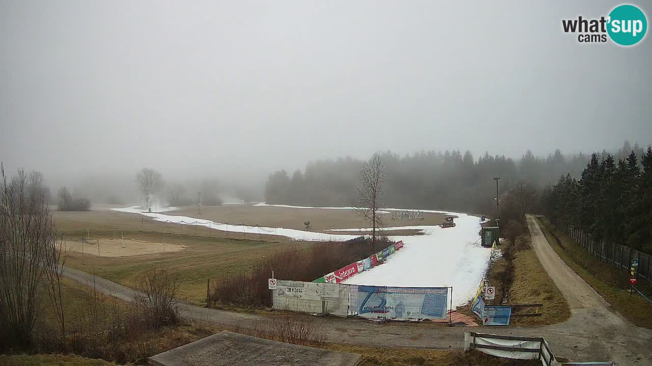 Webcam Langlaufarena Pirkdorf – Feistritz ob Bleiburg