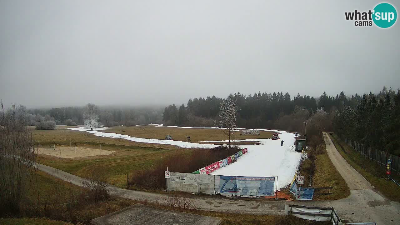 Webcam Arène de Ski de Fond Pirkdorf – Feistritz ob Bleiburg