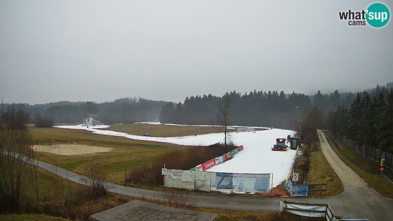 Webcam Arène de Ski de Fond Pirkdorf – Feistritz ob Bleiburg