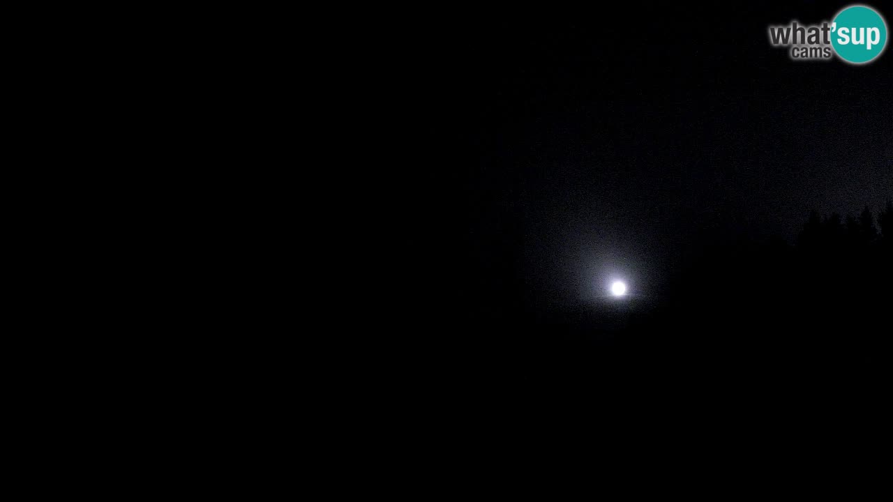 Kamera Langlaufarena Pirkdorf | Tek na smučeh – Bistrica pri Pliberku