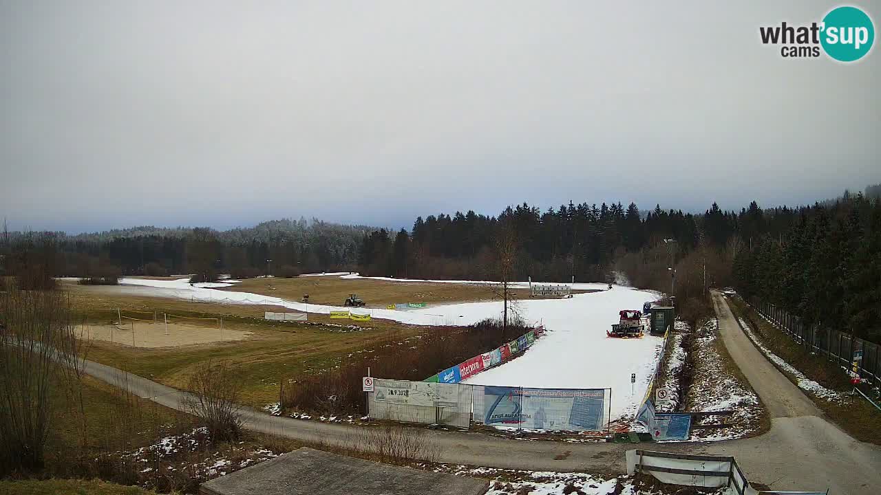 Web kamera Langlaufarena Pirkdorf – Feistritz ob Bleiburg