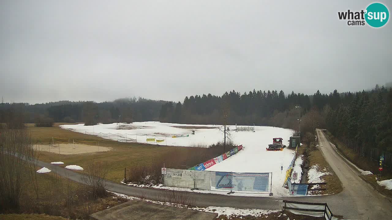 Langlaufarena Pirkdorf webcam sci di fondo – Feistritz ob Bleiburg