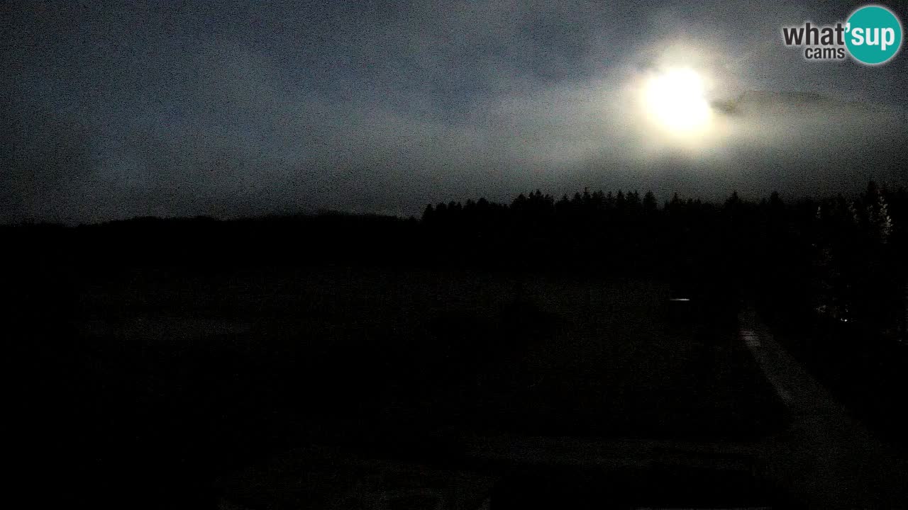 Webcam Arène de Ski de Fond Pirkdorf – Feistritz ob Bleiburg