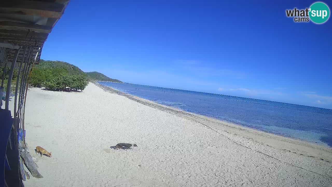 Webcam spiaggia Buen Hombre – Kite Buen Hombre Kiteboarding School
