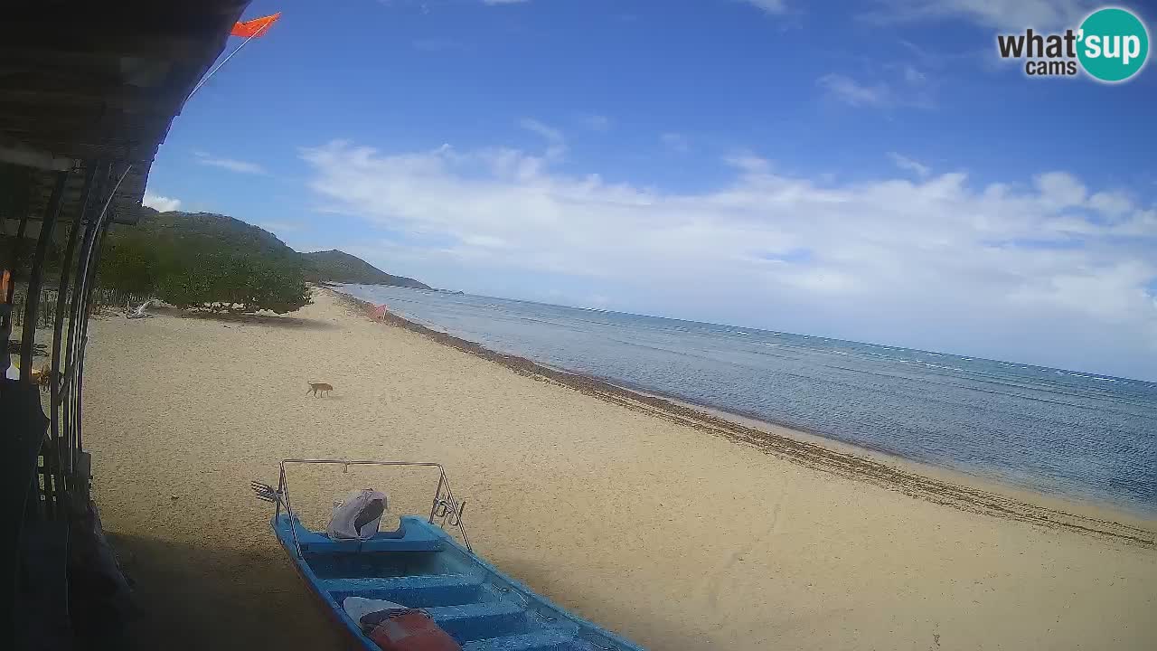 Webcam playa Buen Hombre – Kite Buen Hombre Kiteboarding School