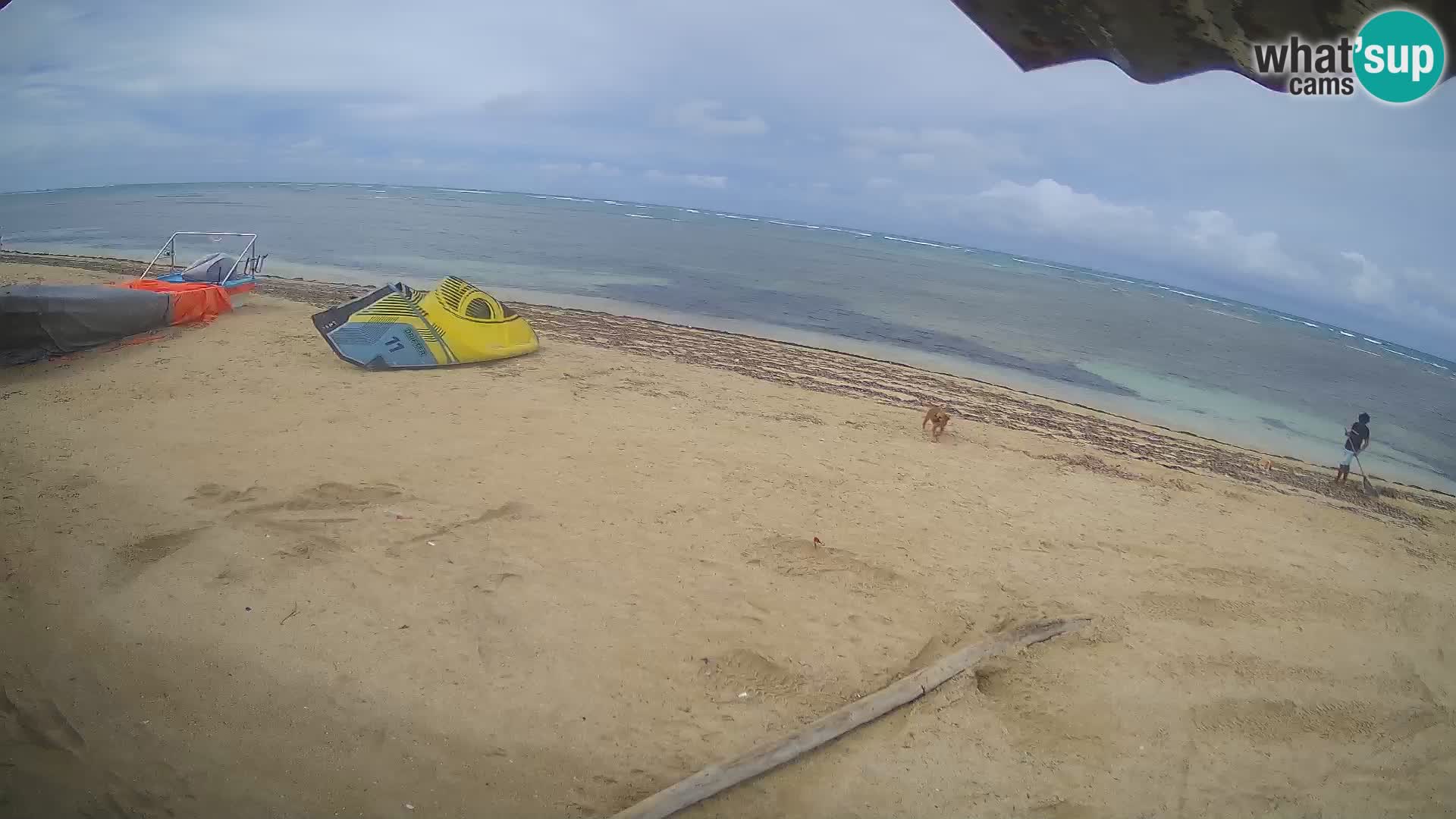 Live webcam Kite Buen Hombre scuola Kiteboarding – Spiaggia Buen Hombre – Monte Cristi – Repubblica Dominicana