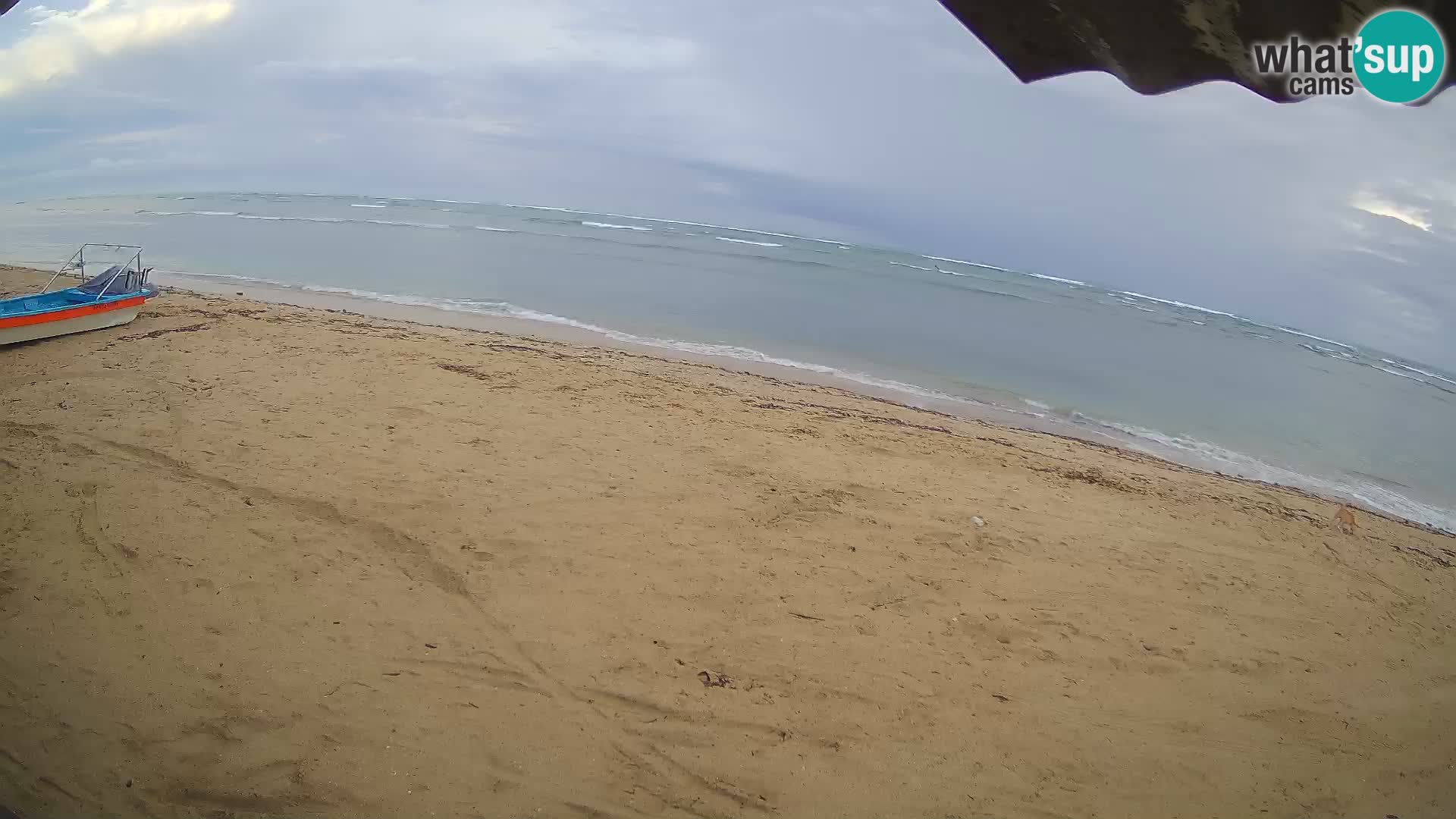 Kite Buen Hombre webcam Kiteboarding Schule – Buen Hombre Strand – Monte Cristi – Dominikanische Republik