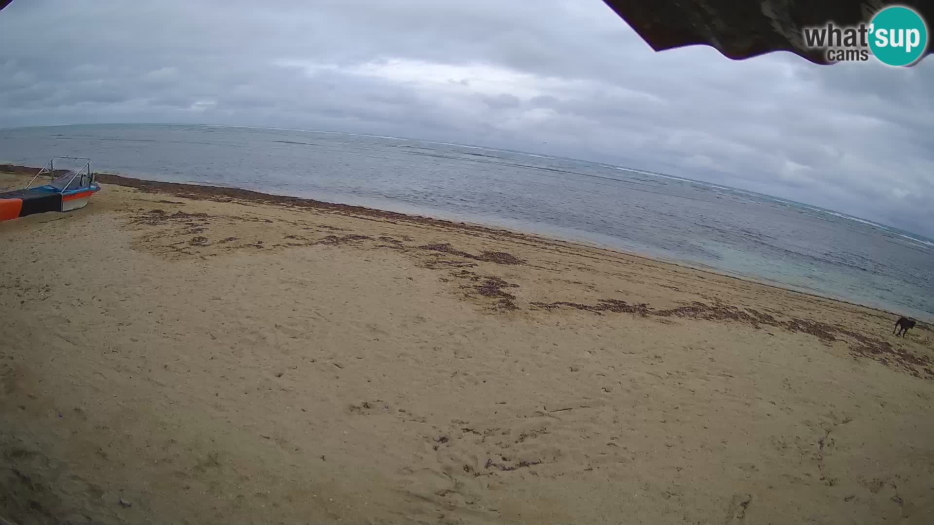 Cámara en Vivo Kite Buen Hombre Kiteboarding School – Playa Buen Hombre – Monte Cristi – República Dominicana