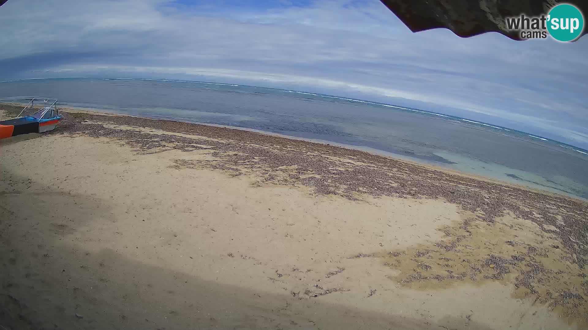 Live webcam Kite Buen Hombre scuola Kiteboarding – Spiaggia Buen Hombre – Monte Cristi – Repubblica Dominicana