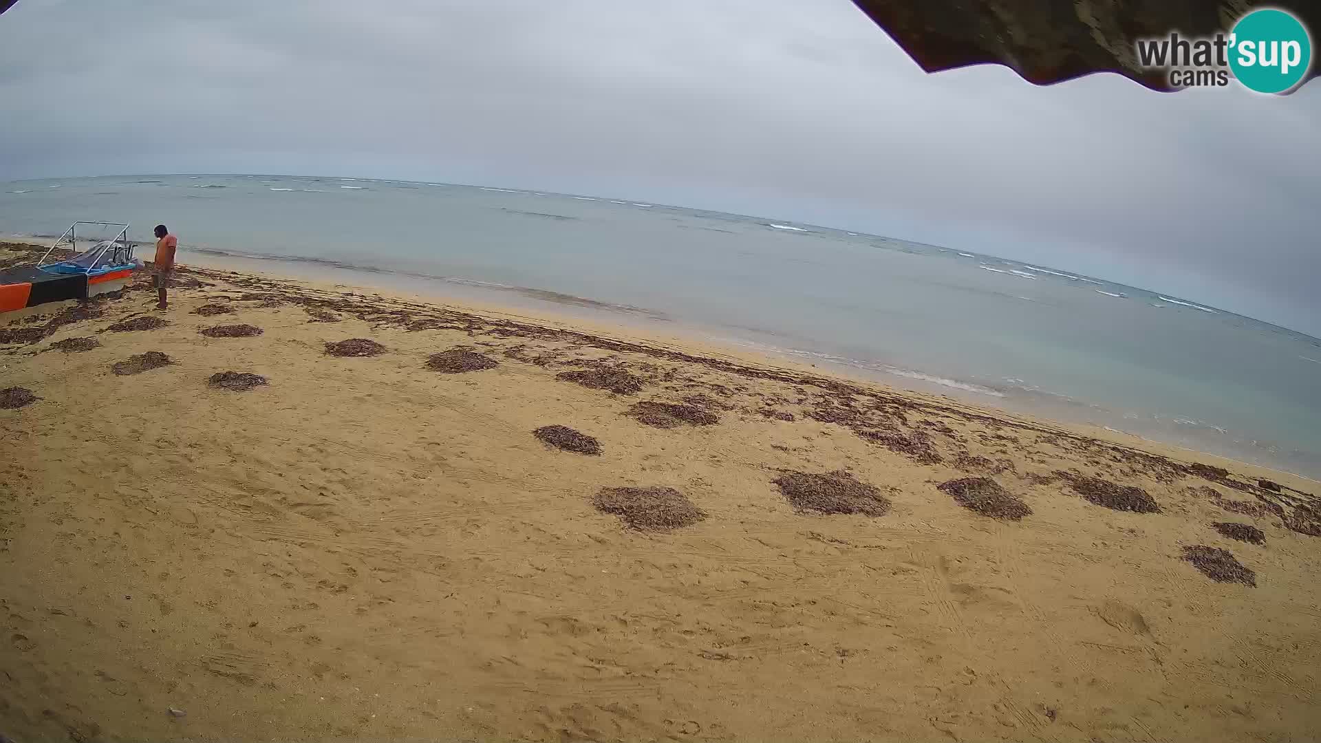 Cámara en Vivo Kite Buen Hombre Kiteboarding School – Playa Buen Hombre – Monte Cristi – República Dominicana