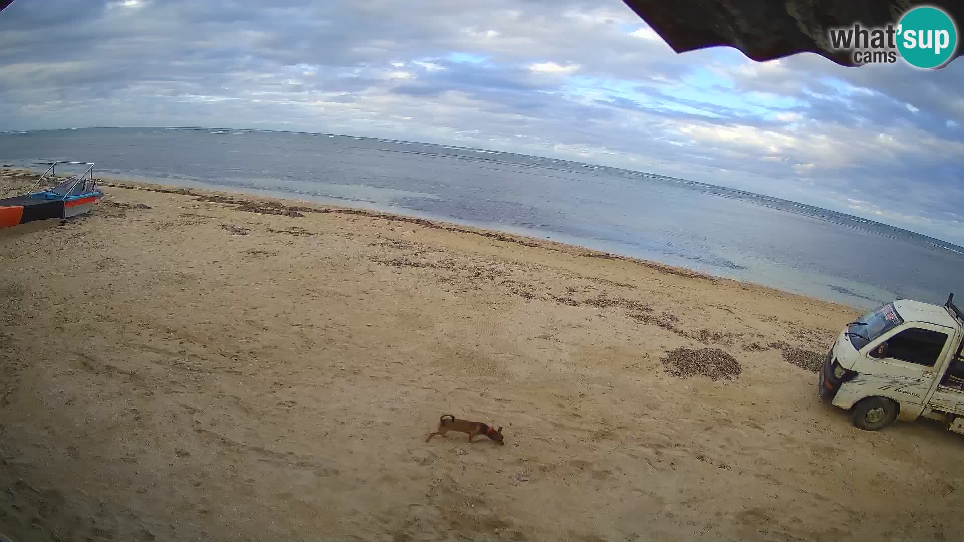 Cámara en Vivo Kite Buen Hombre Kiteboarding School – Playa Buen Hombre – Monte Cristi – República Dominicana