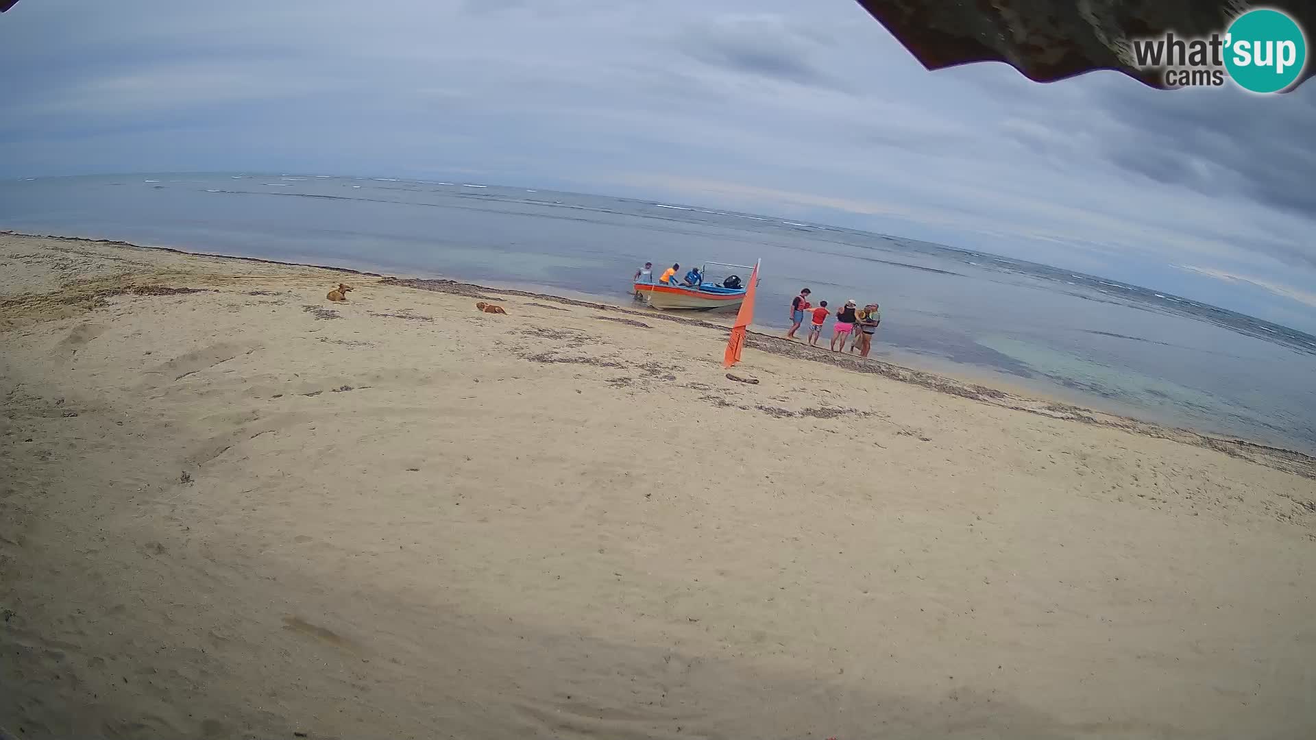 Live webcam Kite Buen Hombre scuola Kiteboarding – Spiaggia Buen Hombre – Monte Cristi – Repubblica Dominicana