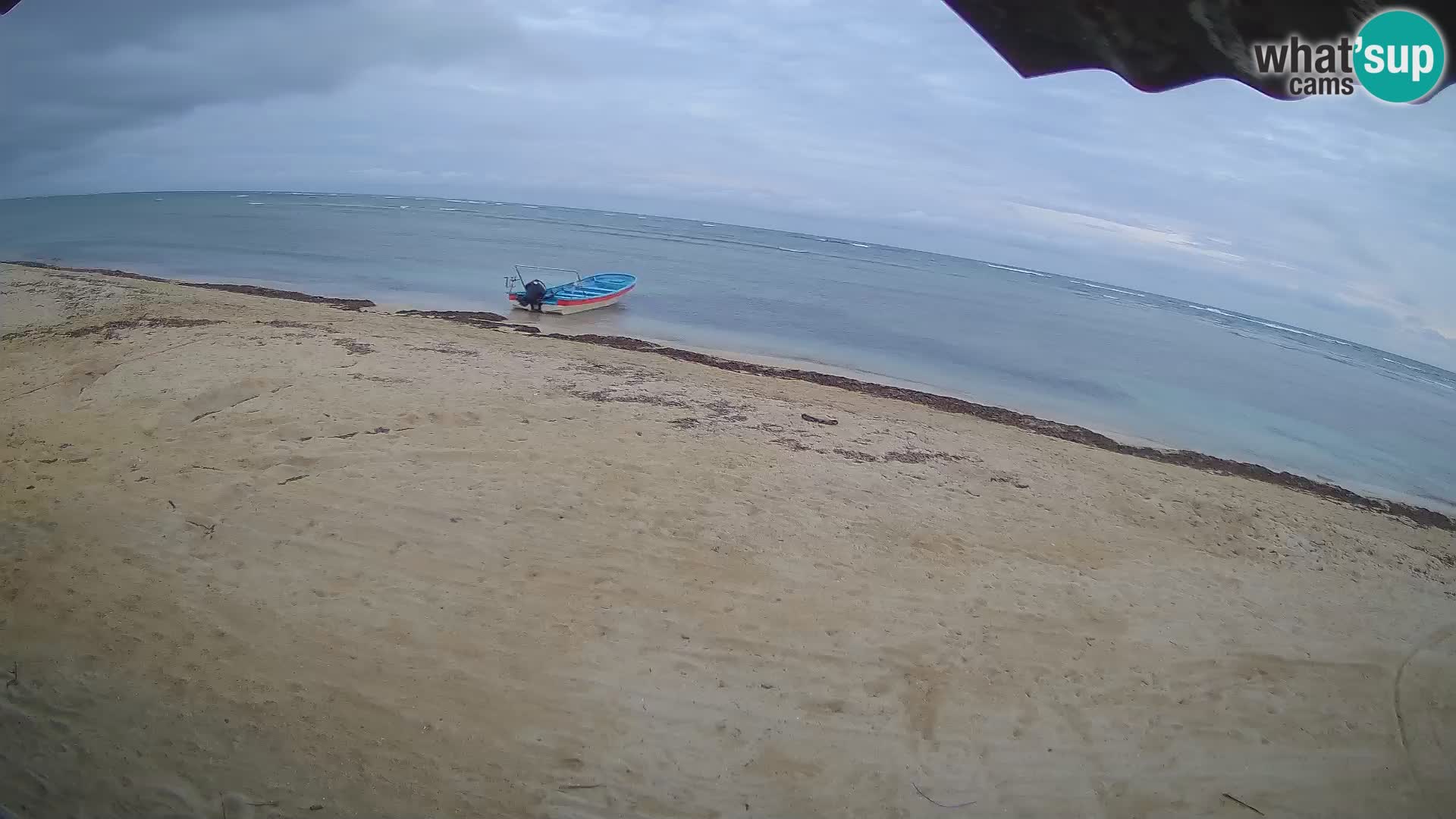 Cámara en Vivo Kite Buen Hombre Kiteboarding School – Playa Buen Hombre – Monte Cristi – República Dominicana