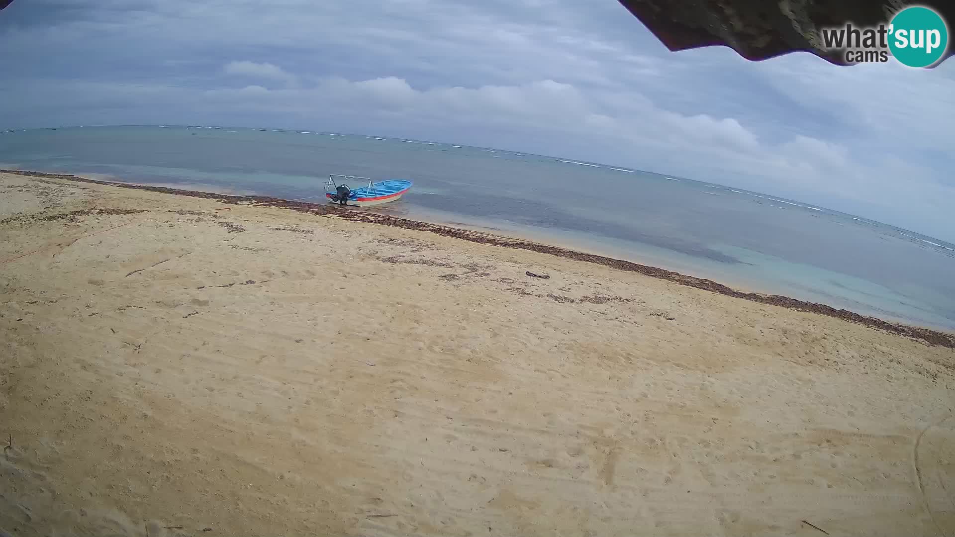 Spletna kamera Kite Buen Hombre Kiteboarding – plaža Buen Hombre – Monte Cristi – Dominikanska Republika