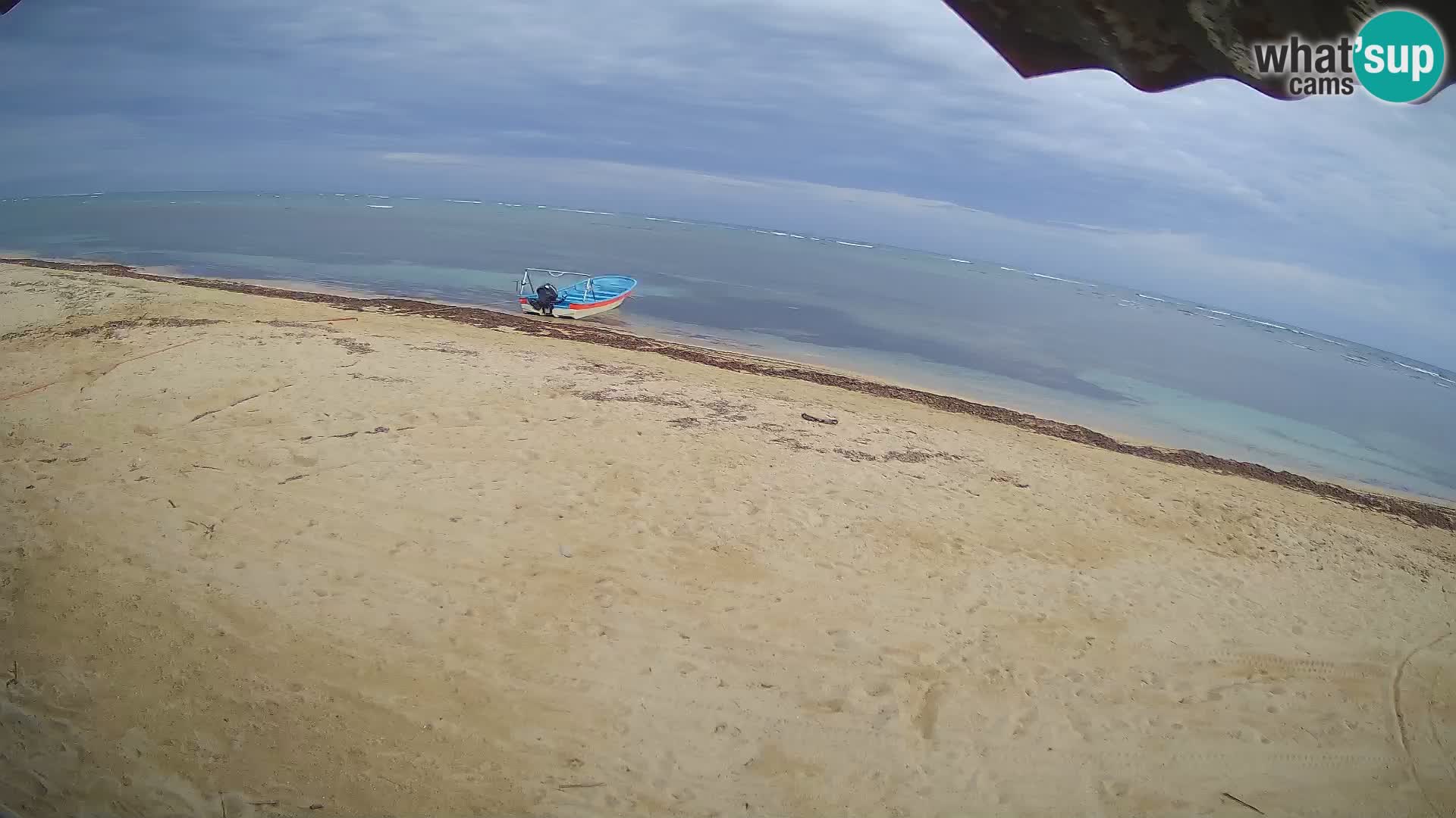 Cámara en Vivo Kite Buen Hombre Kiteboarding School – Playa Buen Hombre – Monte Cristi – República Dominicana