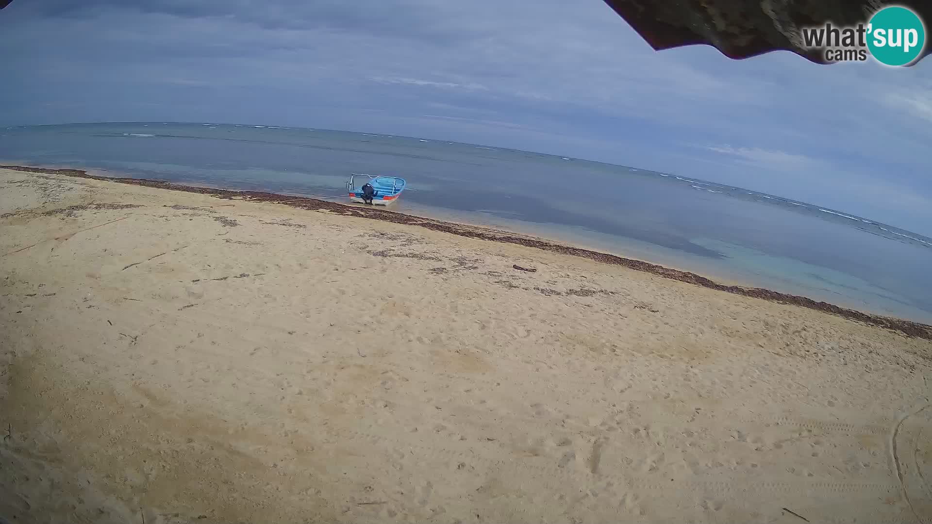 Kite Buen Hombre webcam Kiteboarding Schule – Buen Hombre Strand – Monte Cristi – Dominikanische Republik