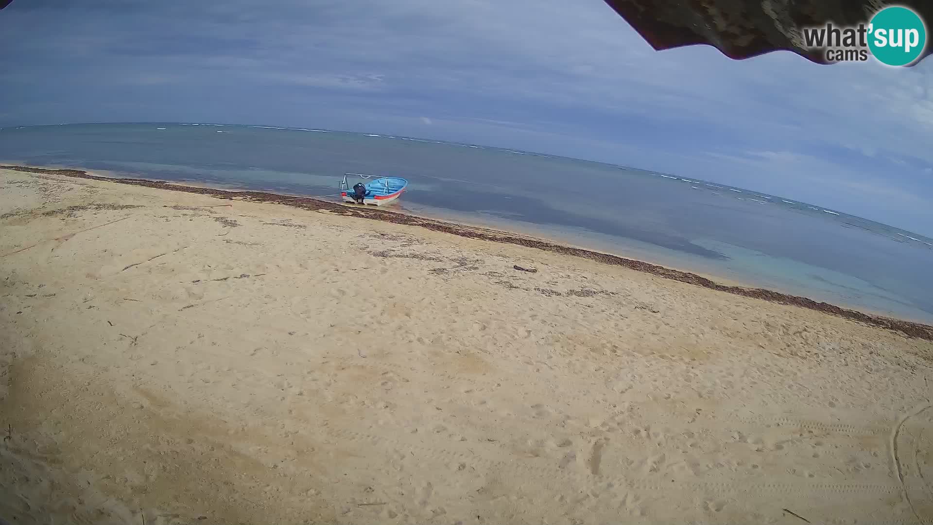 Live webcam Kite Buen Hombre scuola Kiteboarding – Spiaggia Buen Hombre – Monte Cristi – Repubblica Dominicana