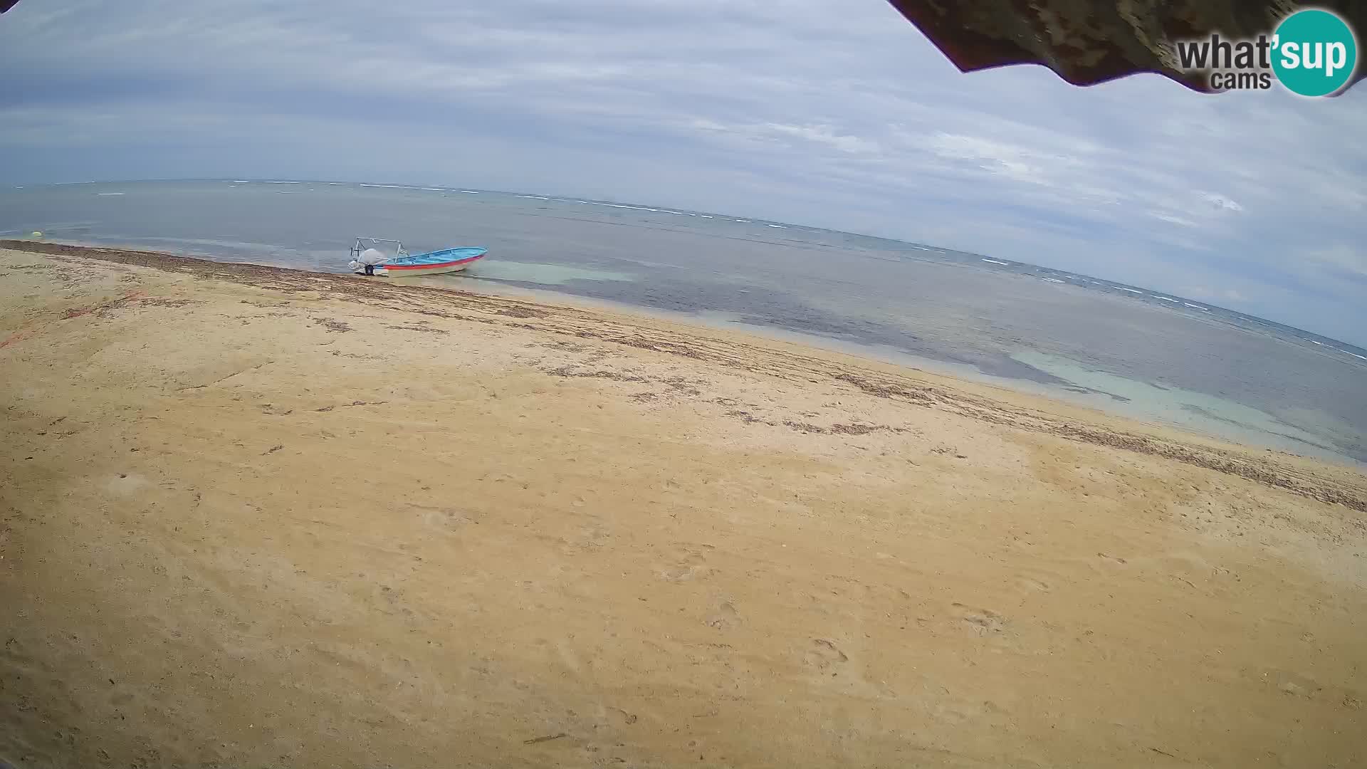 Cámara en Vivo Kite Buen Hombre Kiteboarding School – Playa Buen Hombre – Monte Cristi – República Dominicana