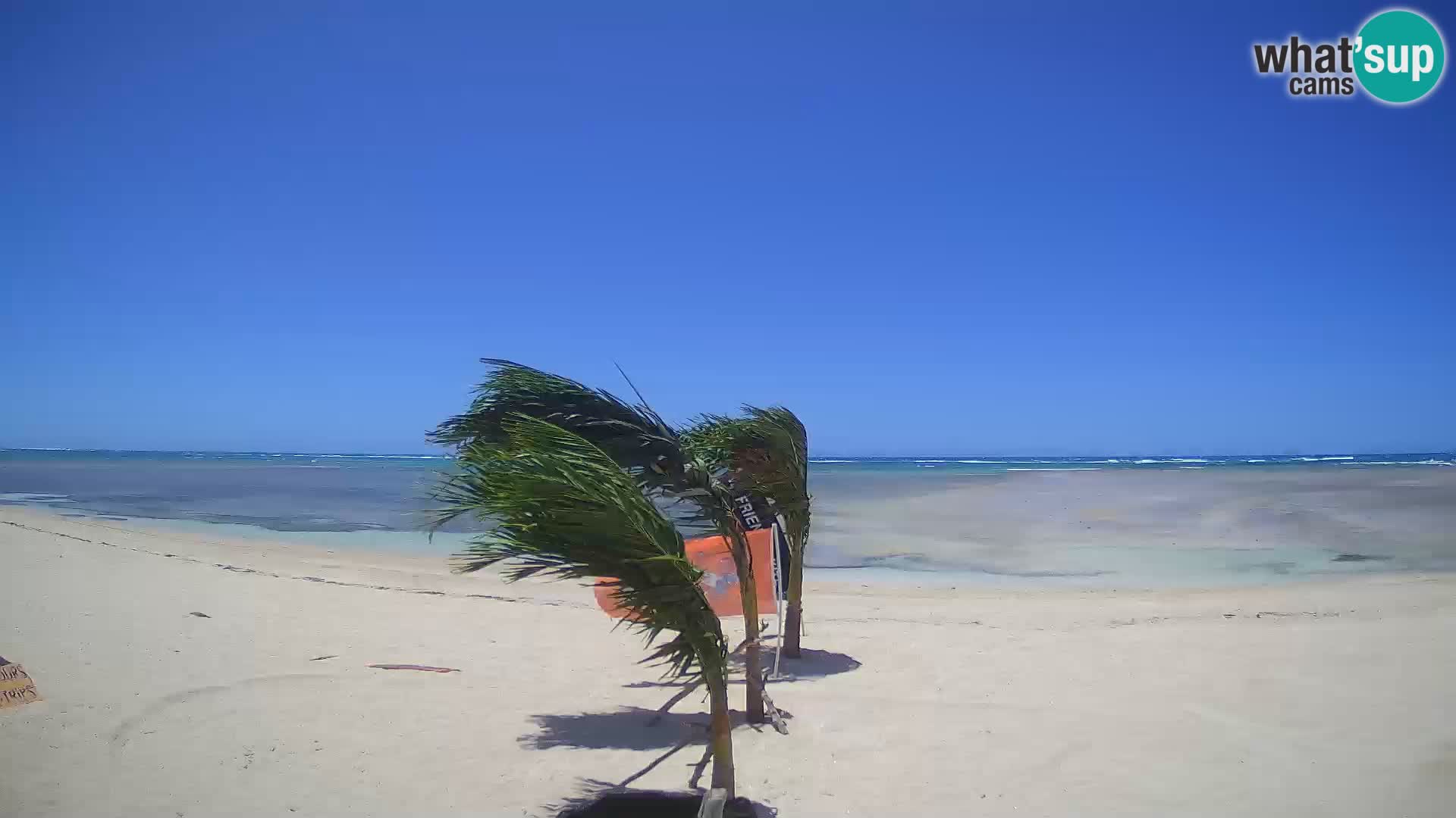 Spletna kamera Kite Buen Hombre Kiteboarding – plaža Buen Hombre – Monte Cristi – Dominikanska Republika