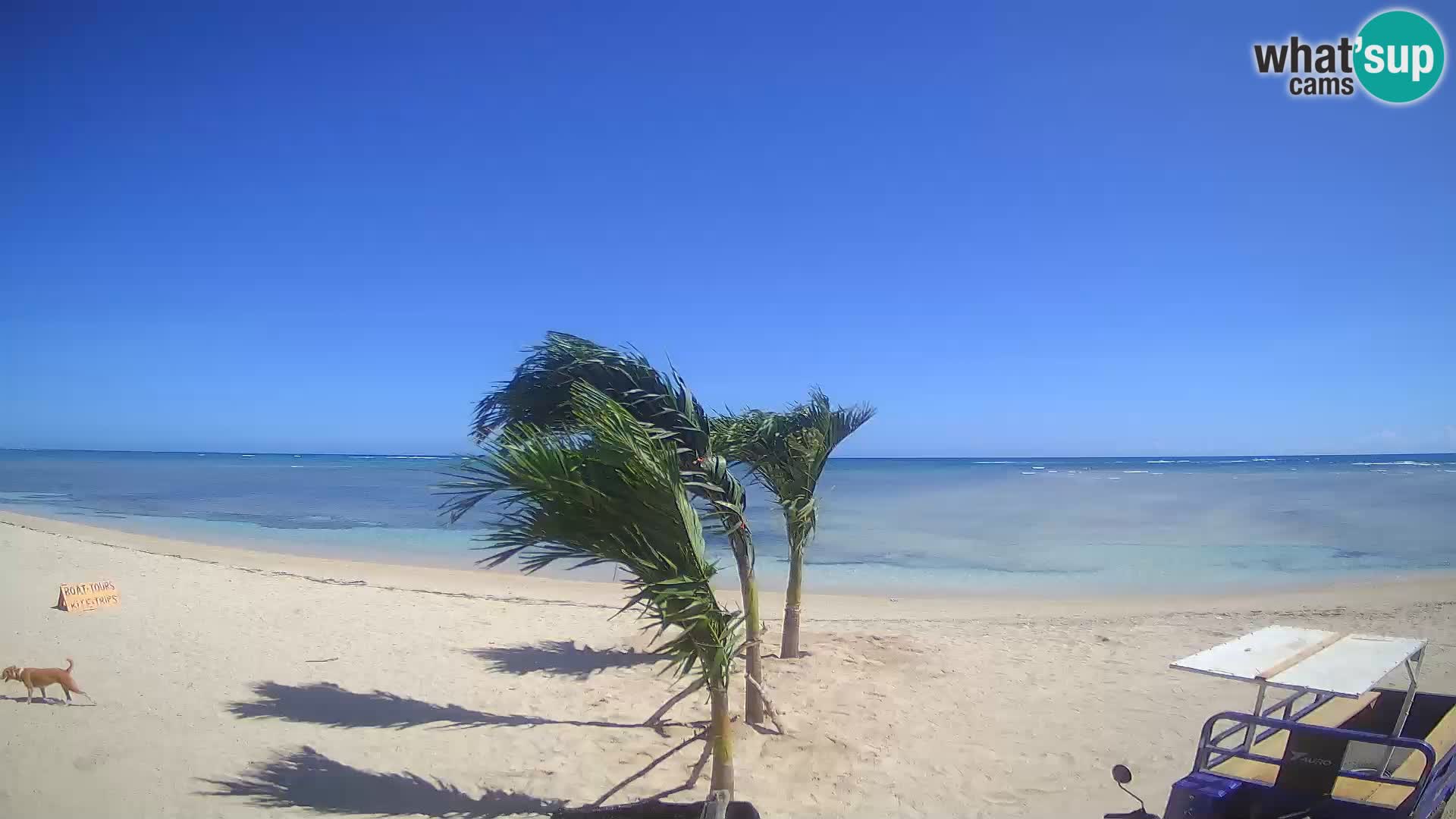 Webcam KITE BUEN HOMBRE KITEBOARDING SCHOOL – Buen Hombre Beach – Monte Cristi – Dominican Republic
