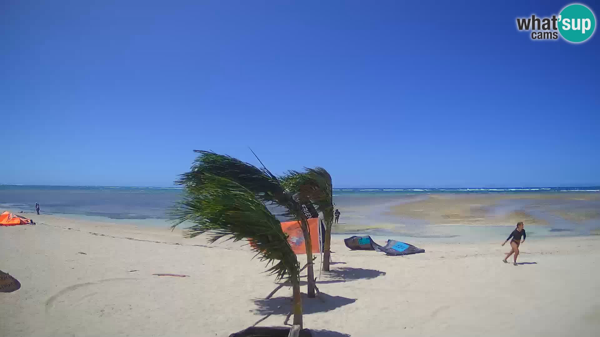 Kite Buen Hombre webcam Kiteboarding Schule – Buen Hombre Strand – Monte Cristi – Dominikanische Republik
