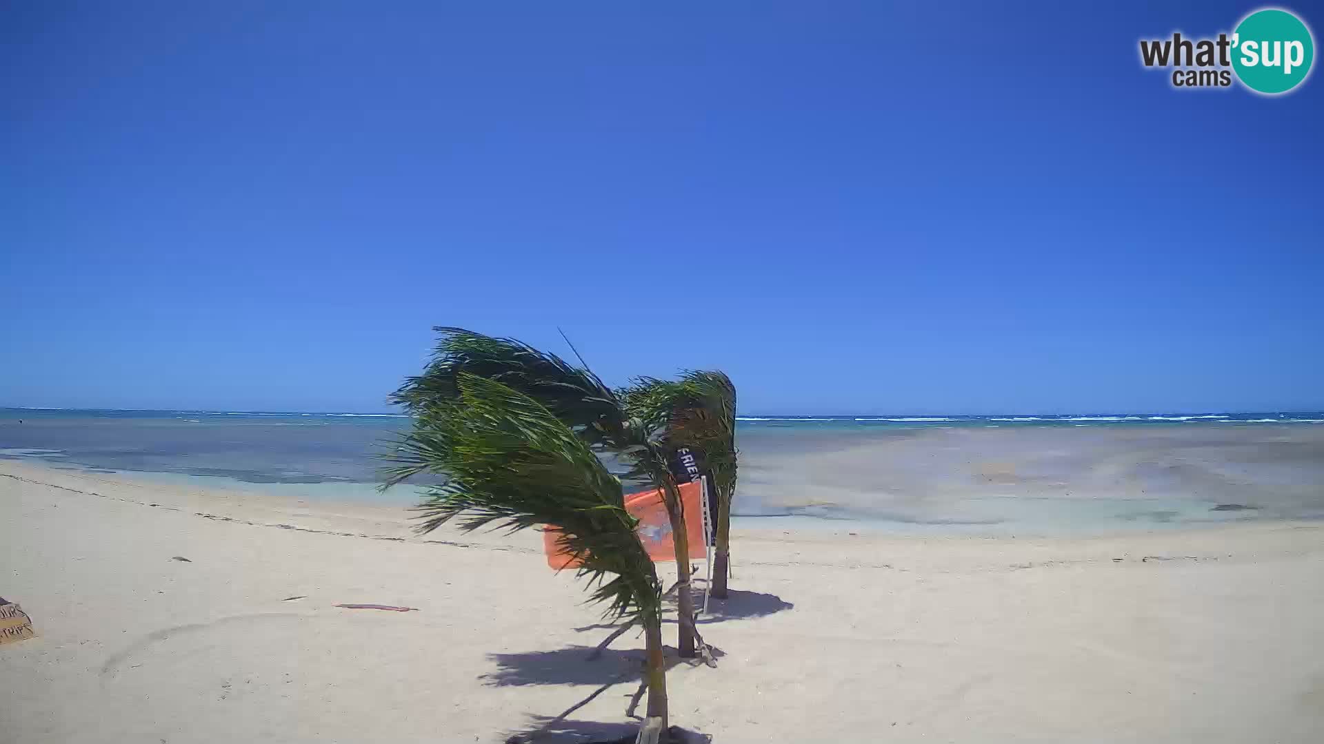 Spletna kamera Kite Buen Hombre Kiteboarding – plaža Buen Hombre – Monte Cristi – Dominikanska Republika