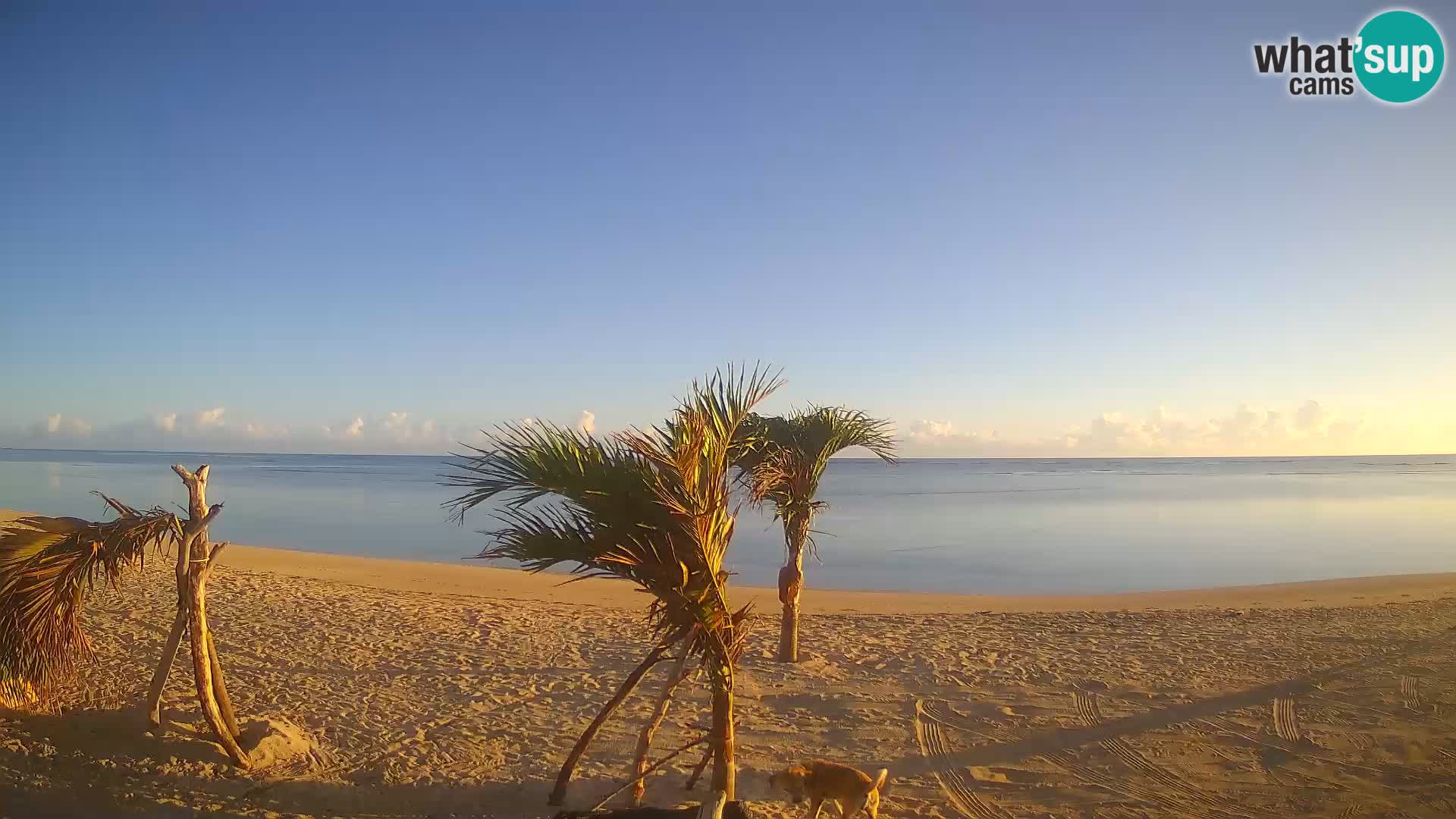 Spletna kamera Kite Buen Hombre Kiteboarding – plaža Buen Hombre – Monte Cristi – Dominikanska Republika