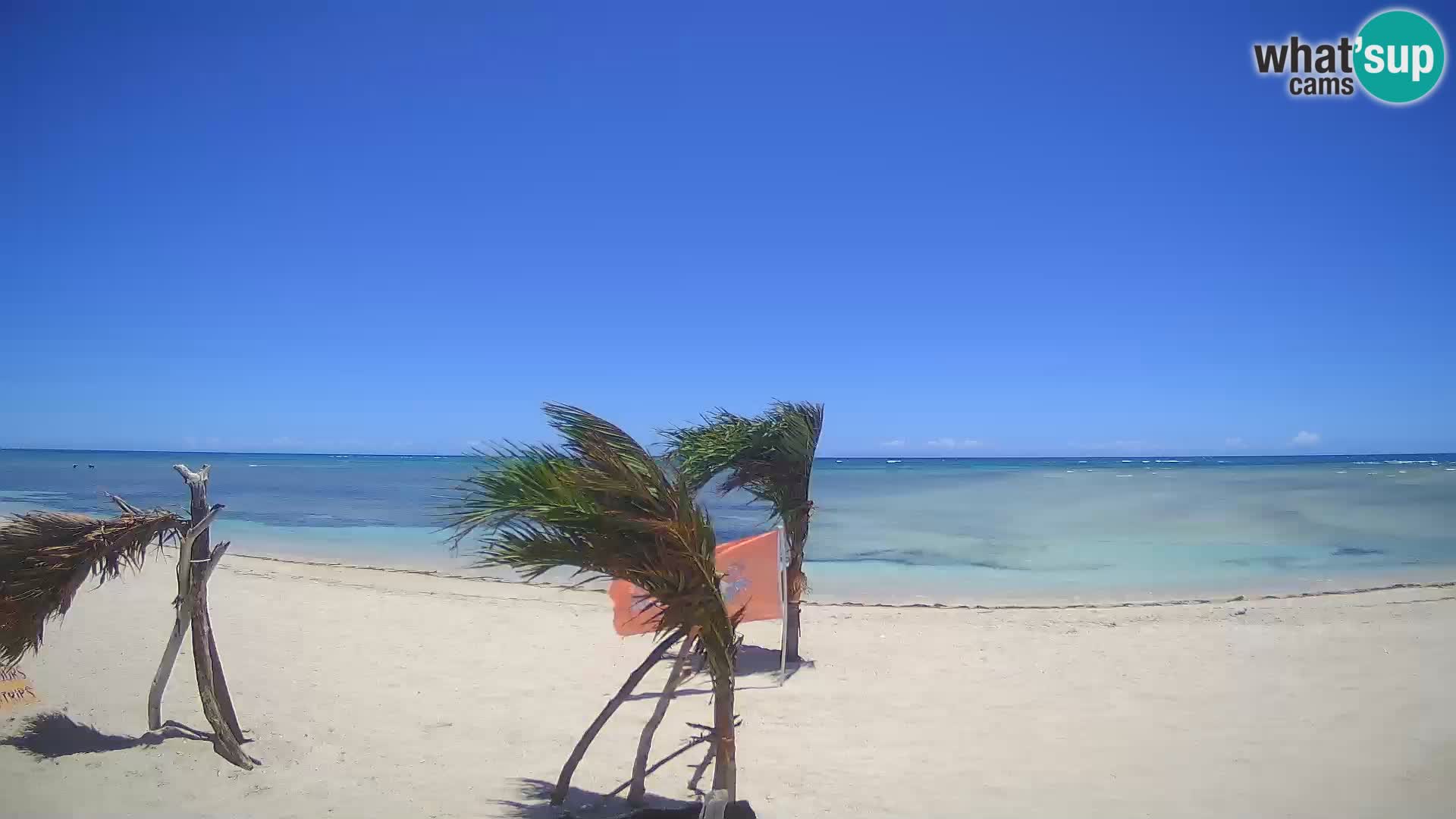 Live webcam Kite Buen Hombre scuola Kiteboarding – Spiaggia Buen Hombre – Monte Cristi – Repubblica Dominicana