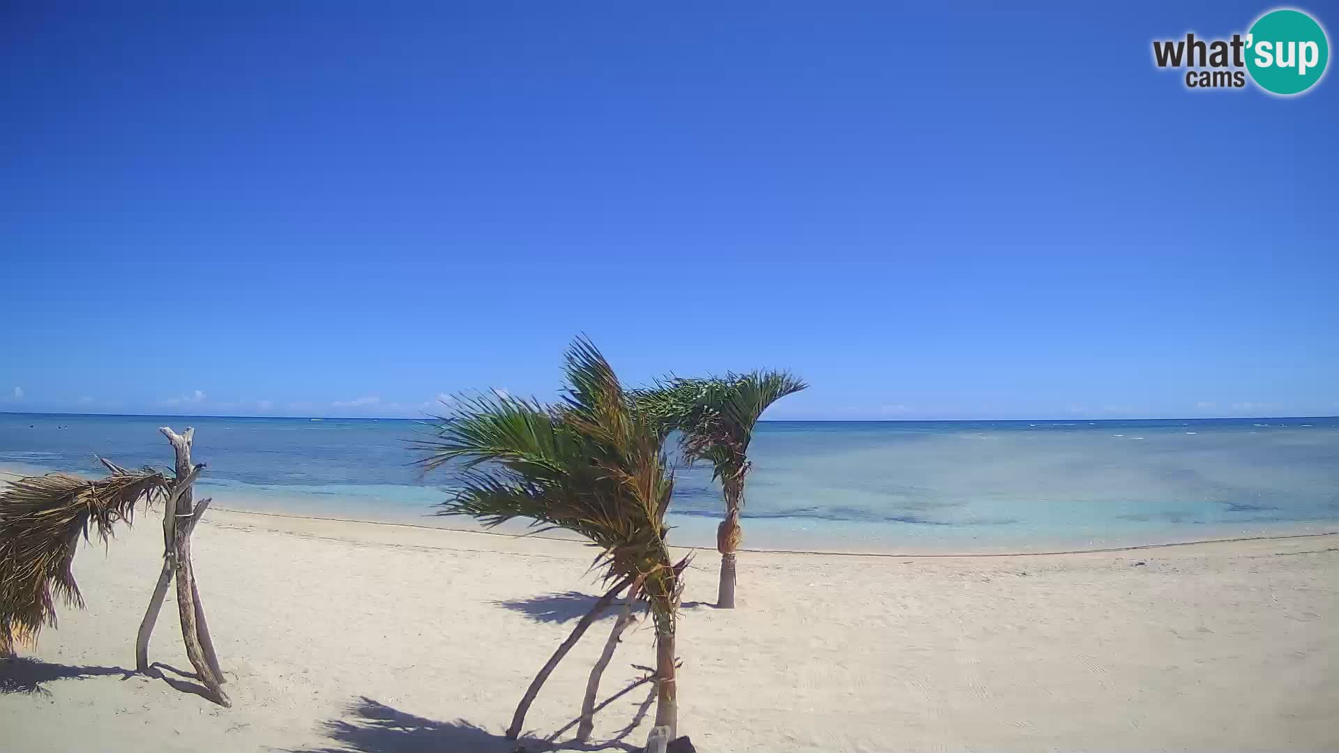 Live webcam Kite Buen Hombre scuola Kiteboarding – Spiaggia Buen Hombre – Monte Cristi – Repubblica Dominicana