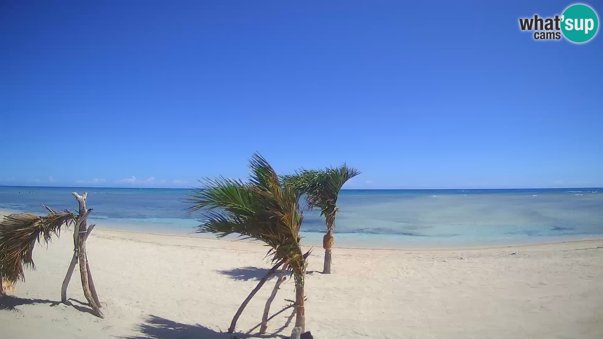 Spletna kamera Kite Buen Hombre Kiteboarding – plaža Buen Hombre – Monte Cristi – Dominikanska Republika