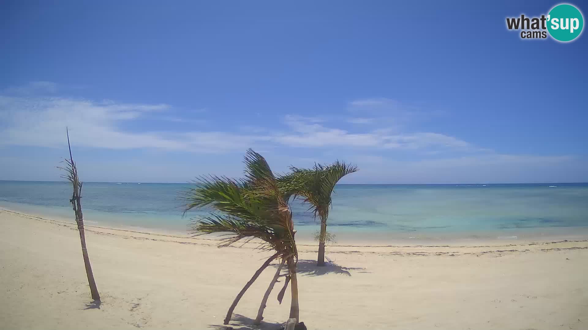 Live webcam Kite Buen Hombre scuola Kiteboarding – Spiaggia Buen Hombre – Monte Cristi – Repubblica Dominicana